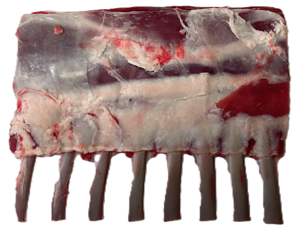 lamb rack no background